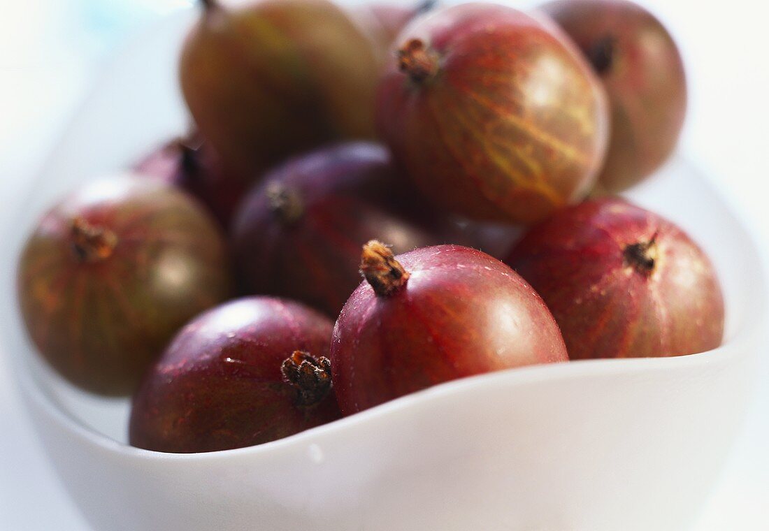 Gooseberries in a Bowl