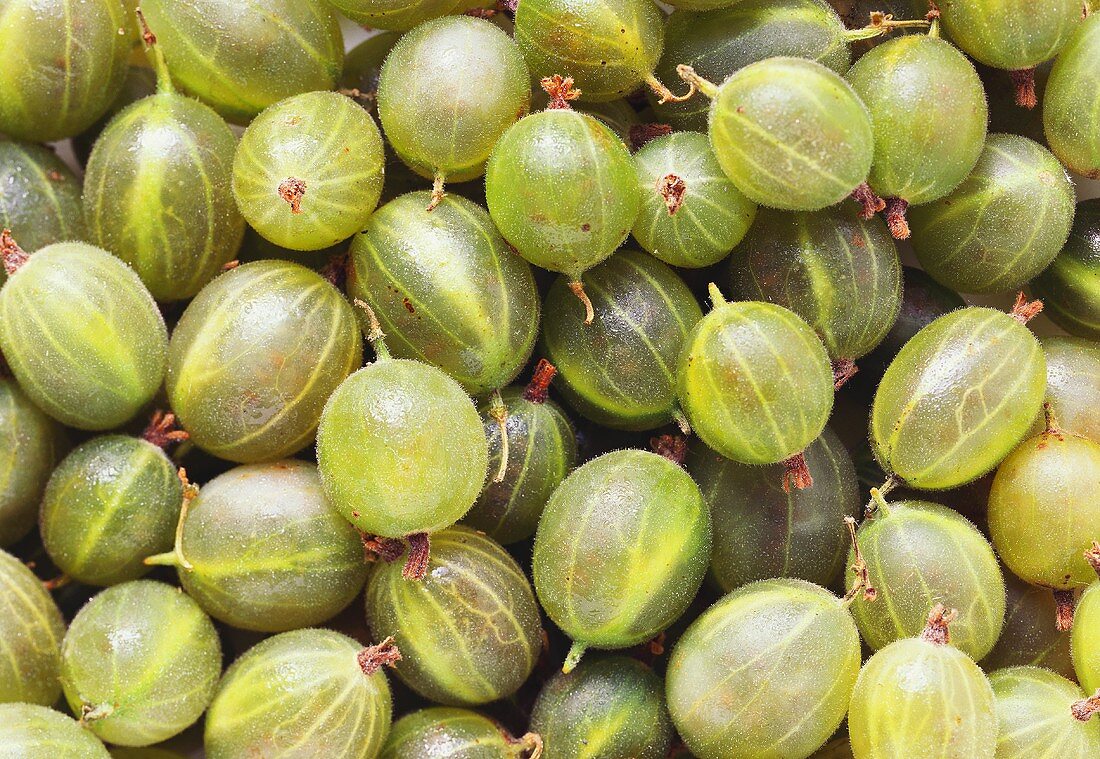 Several Gooseberries