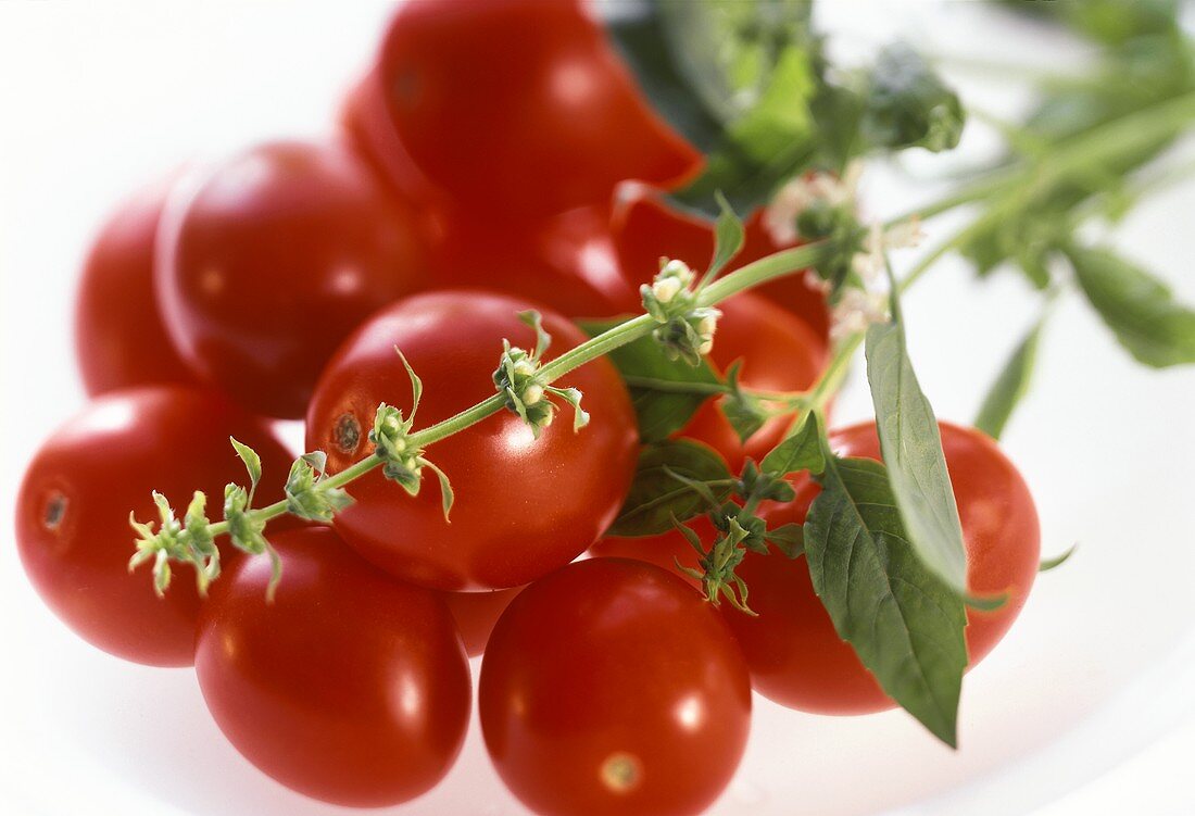 Fresh Ripe Tomatoes; Soft Focus