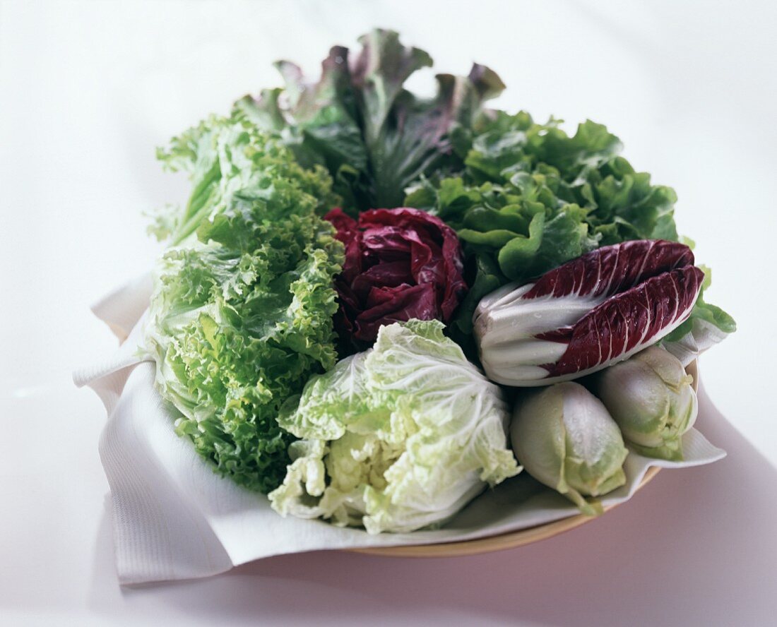 Verschiedene Salate mit Chinakohl und Chicorée auf Teller