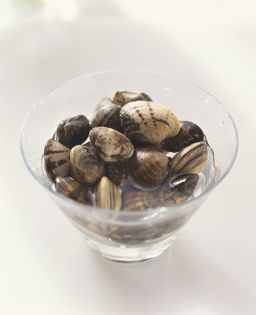 Fresh clams with water in a glass bowl