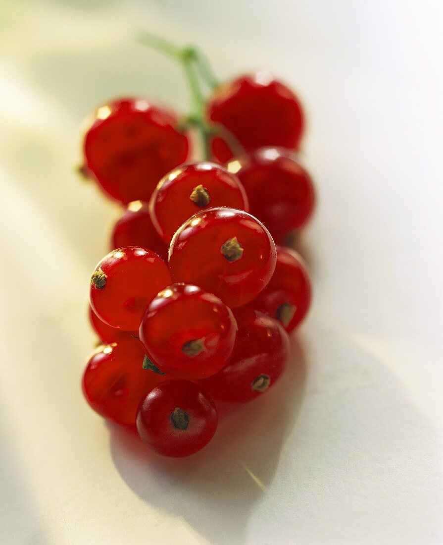 A Bunch of Red Currants