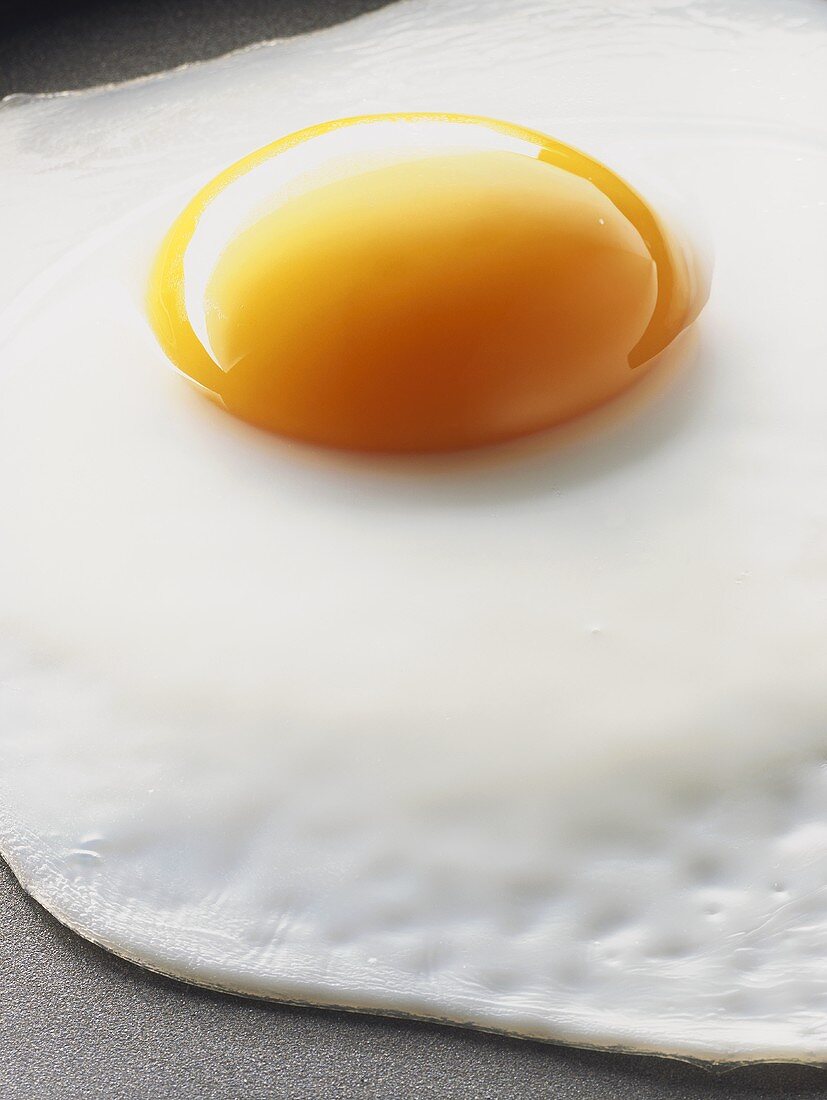 Close Up of Fried Egg