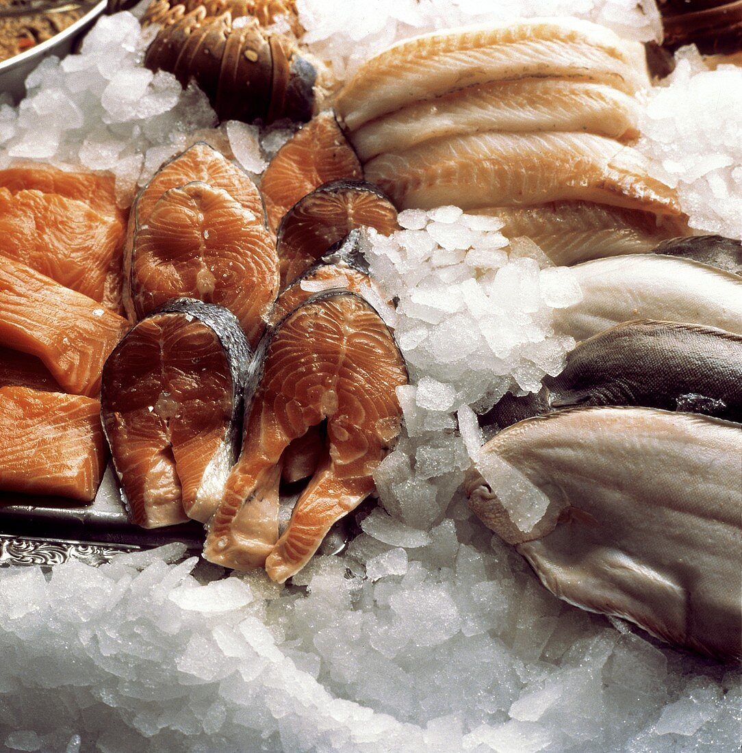 Fresh Fish at a Fish Market