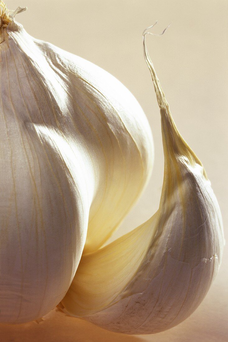 Garlic Bulb Detail