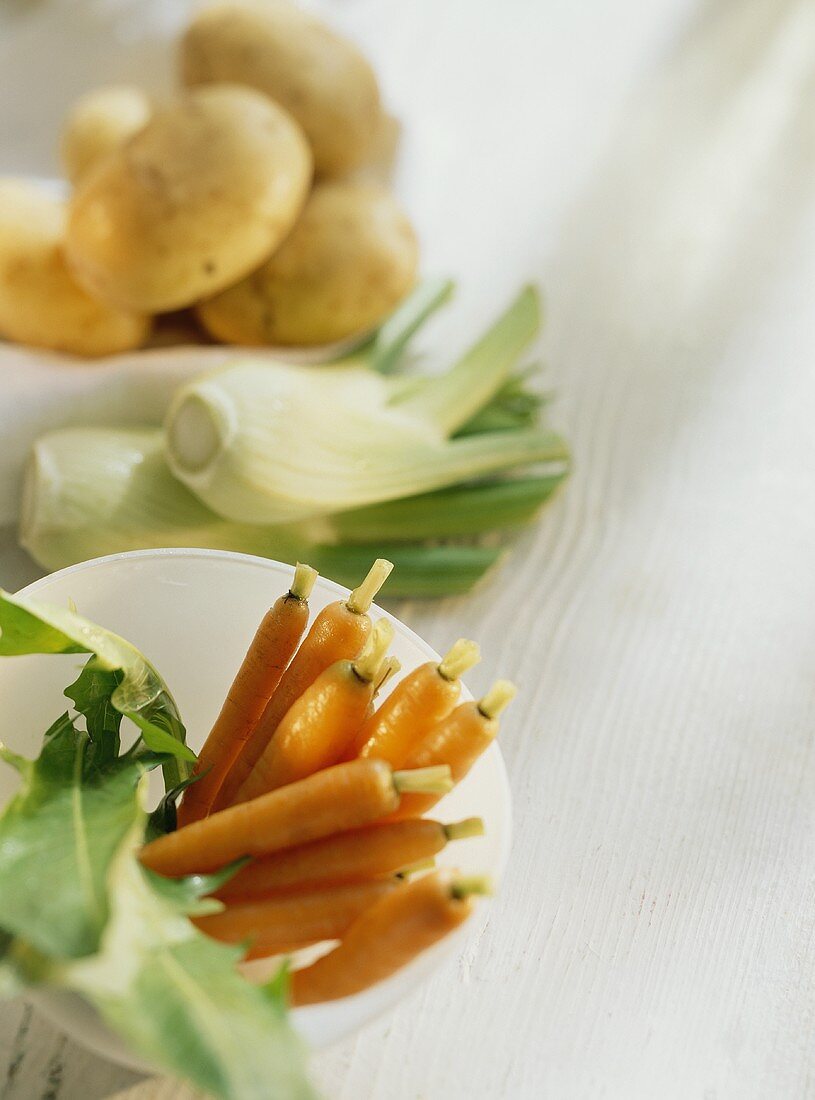 Cleaned carrots with rocket in bowl, fennel, potatoes