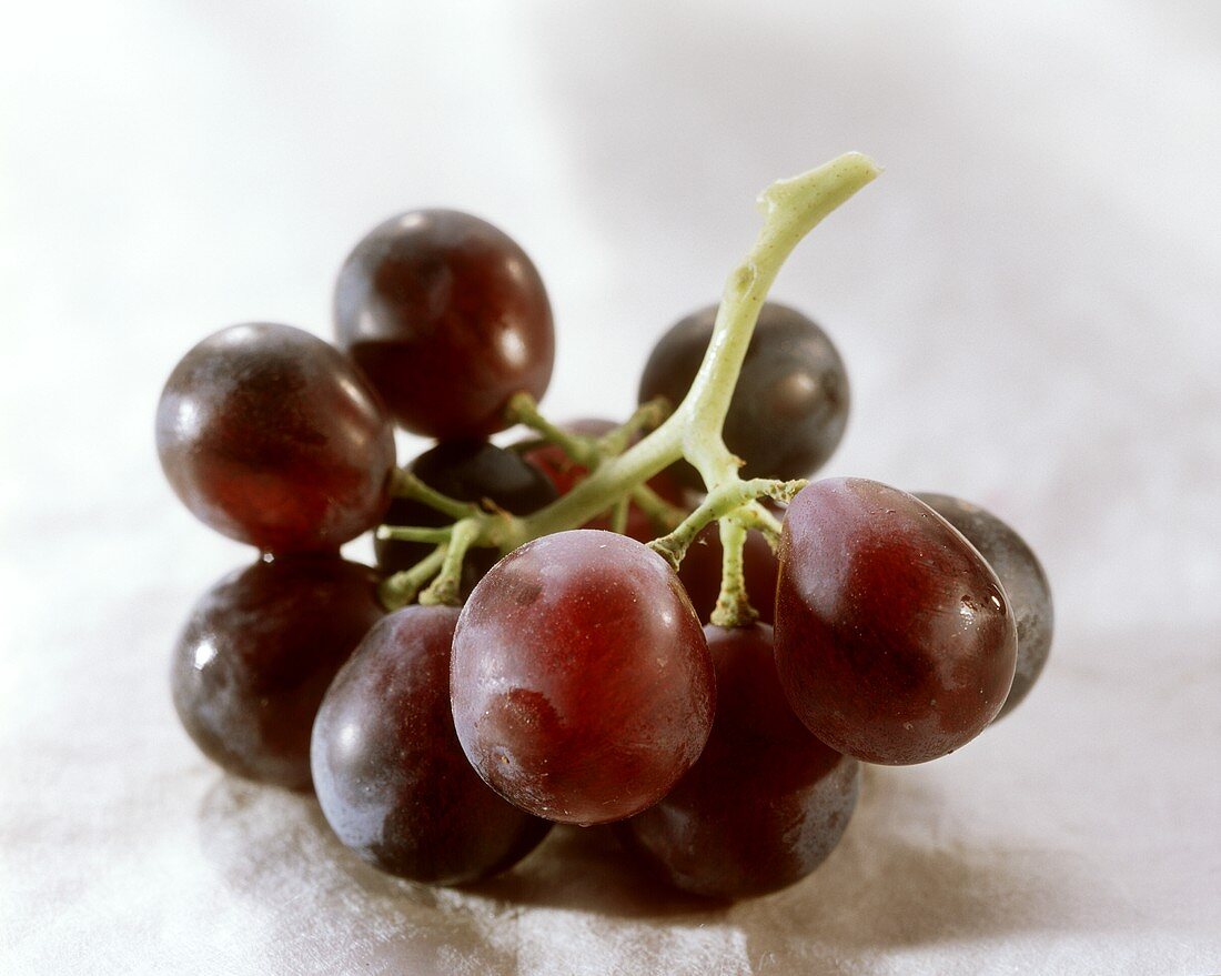 Red grapes on a light background