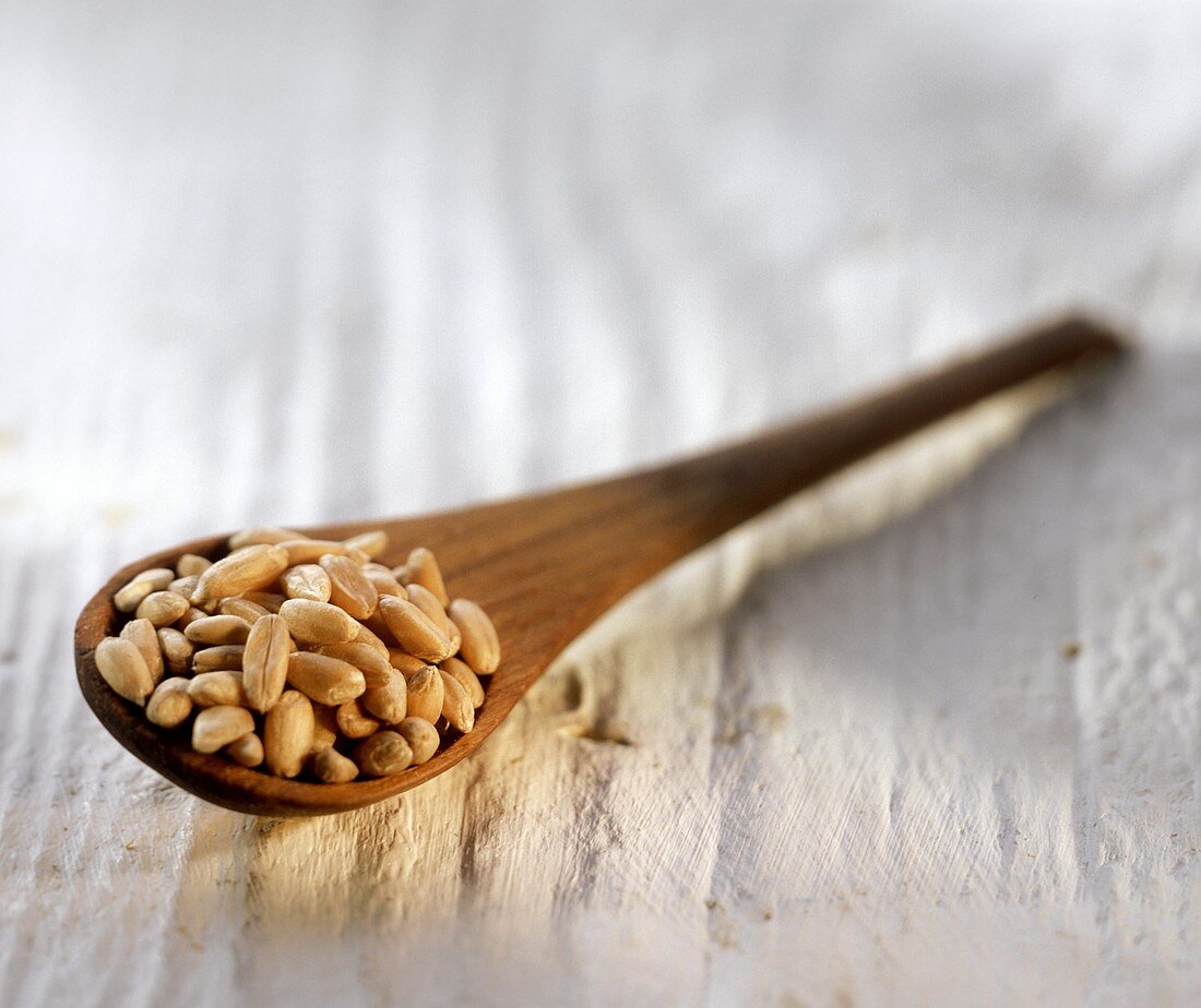Grains of wheat on wooden spoon