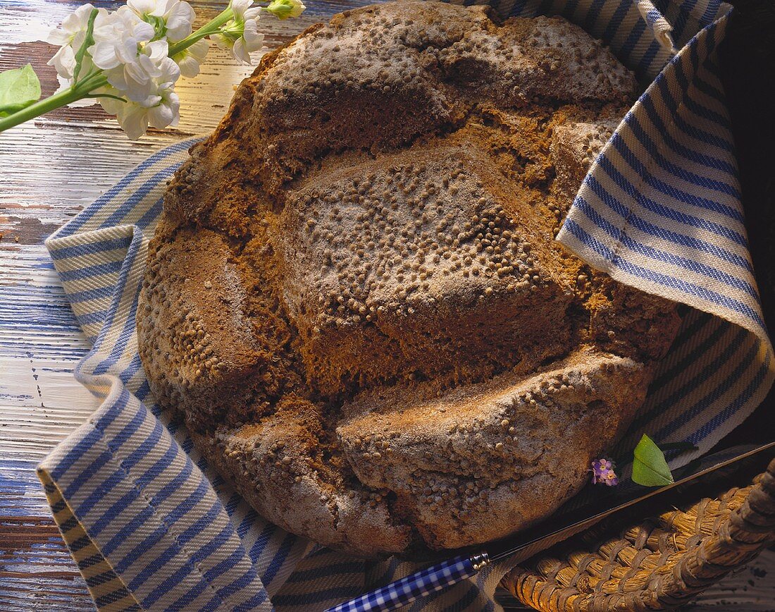Franconian country bread with coriander on striped cloth