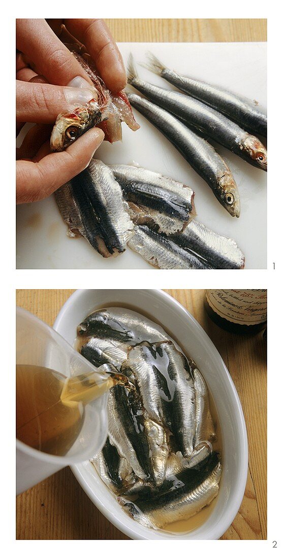 Pickling anchovies