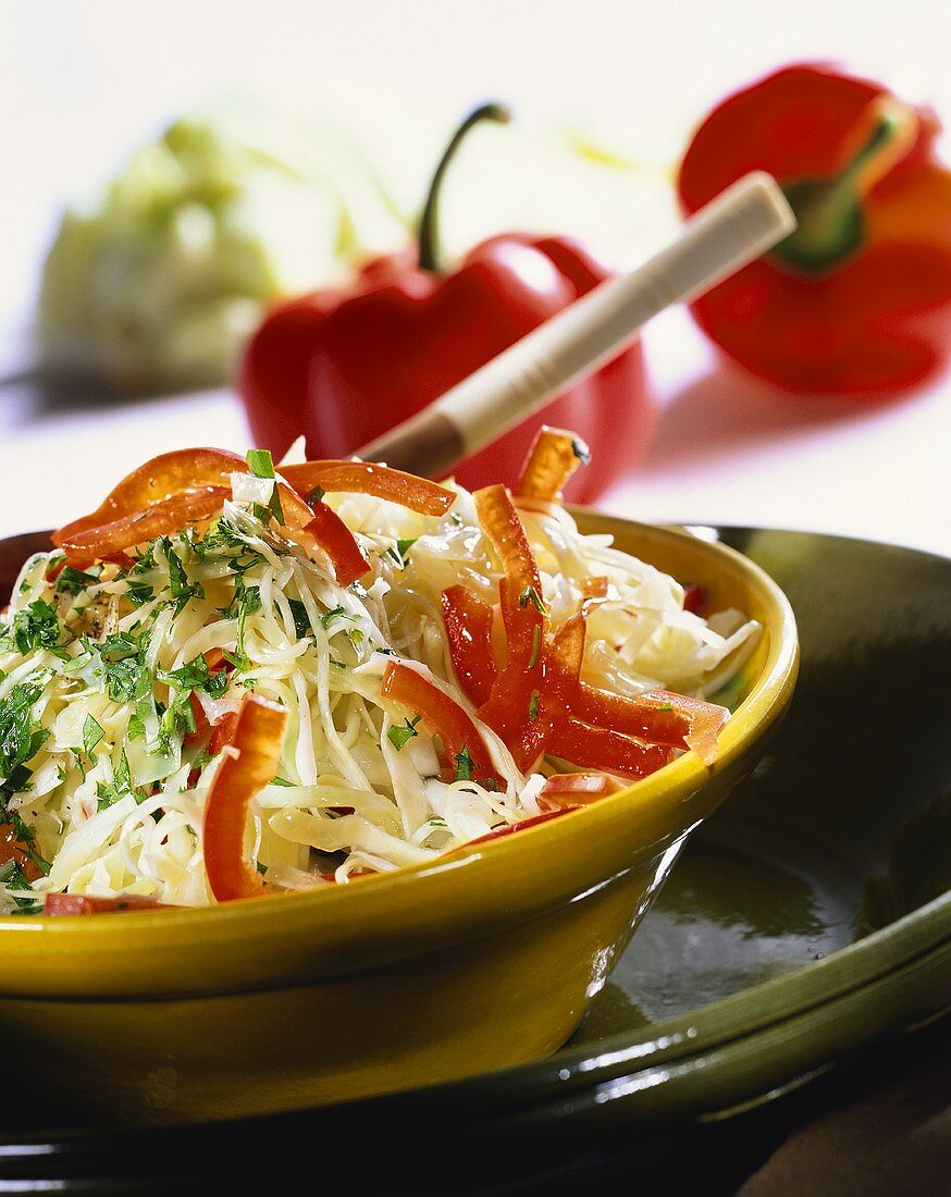 Kraut-Paprika-Salat mit Petersilie in gelber Schale