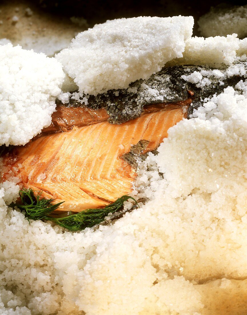 Salmon trout in salt coating with dill