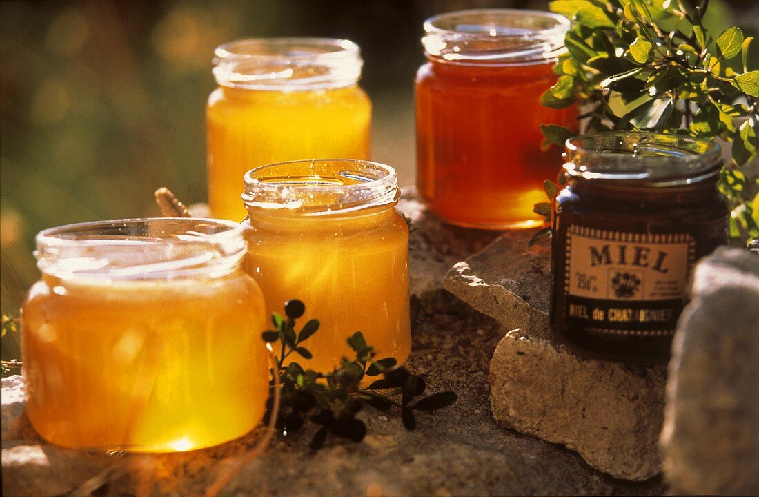 Verschiedene Honigsorten in offenen Gläsern aus der Provence