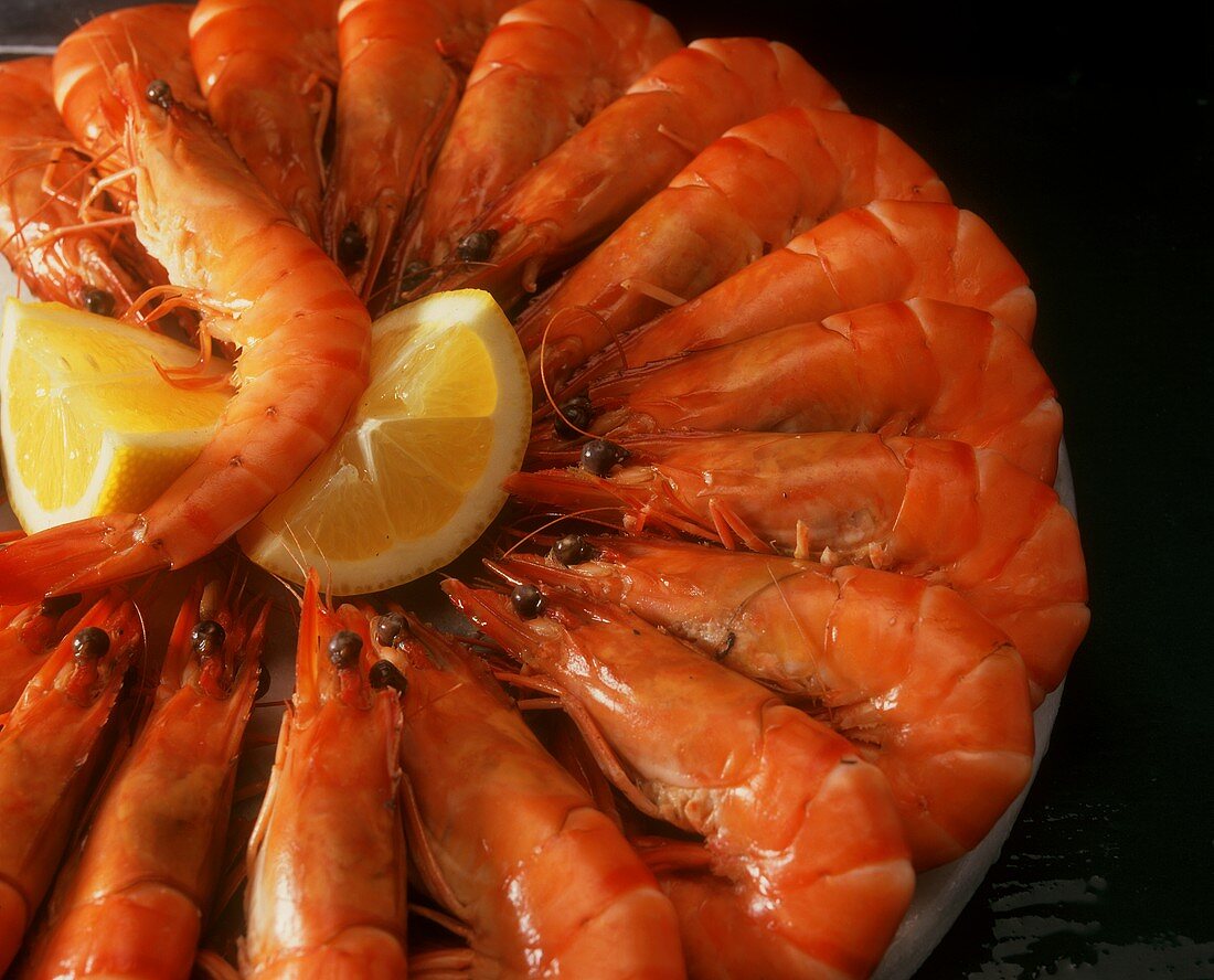 Boiled king prawns with lemon wedges on plate