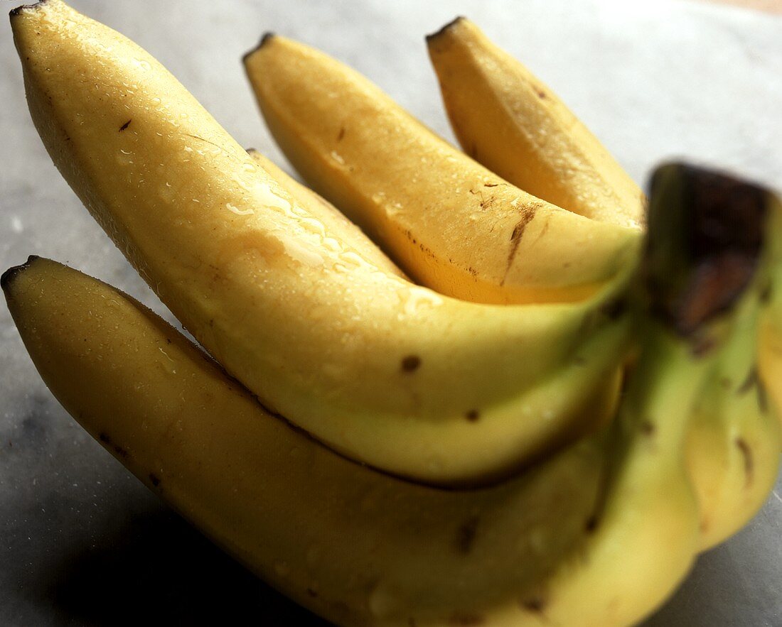 Eine Staude Bananen mit Wassertropfen