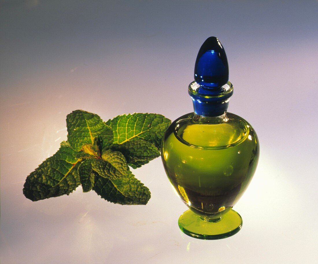 Mint oil in a small bottle, fresh mint beside it