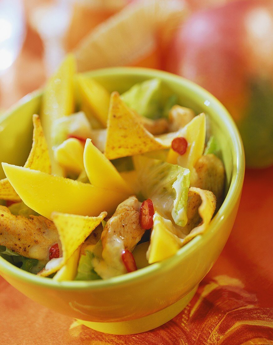 Hähnchen mit Chiliringen, Mangodip, Tortillachips und Salat