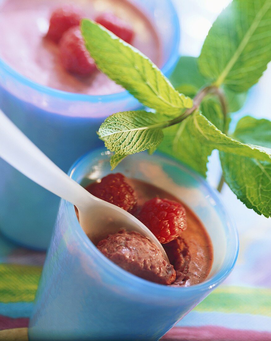 Himbeerschaum mit Himbeeren in Bechern mit Löffel; Minzezweig