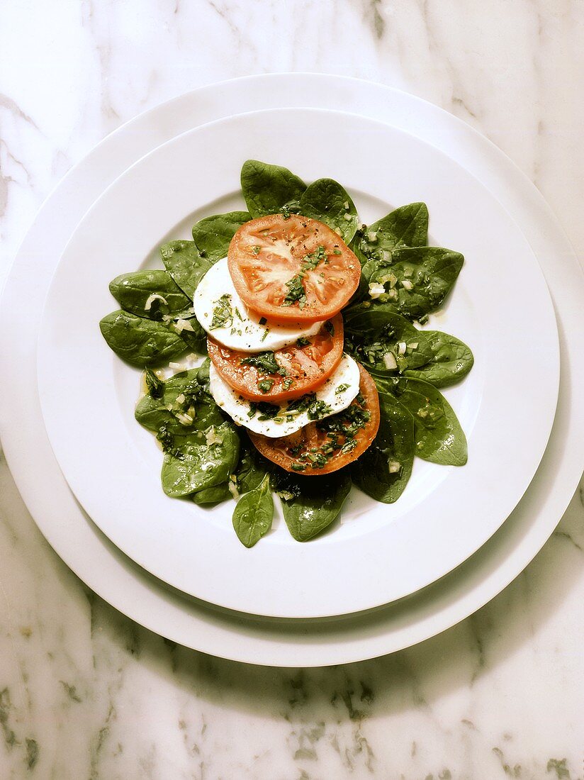 Tomaten mit Mozzarella und Basilikum