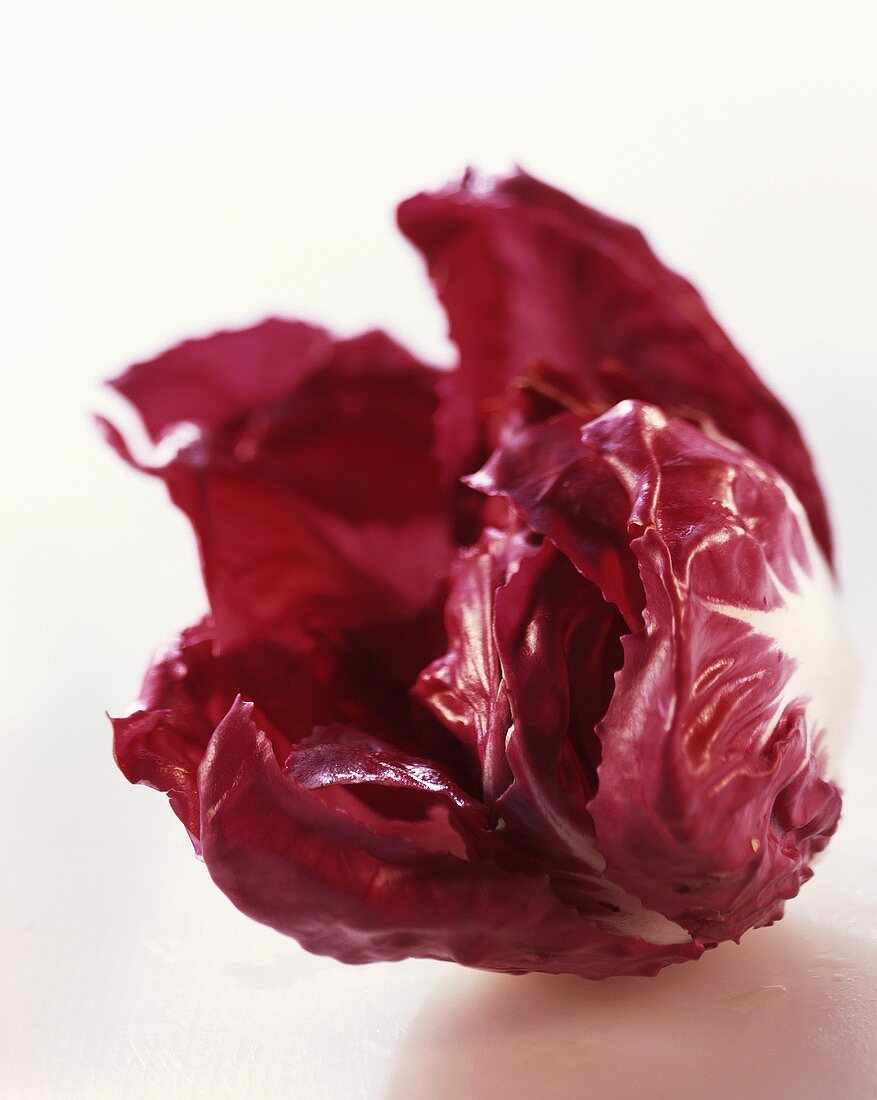 A radicchio on a white background