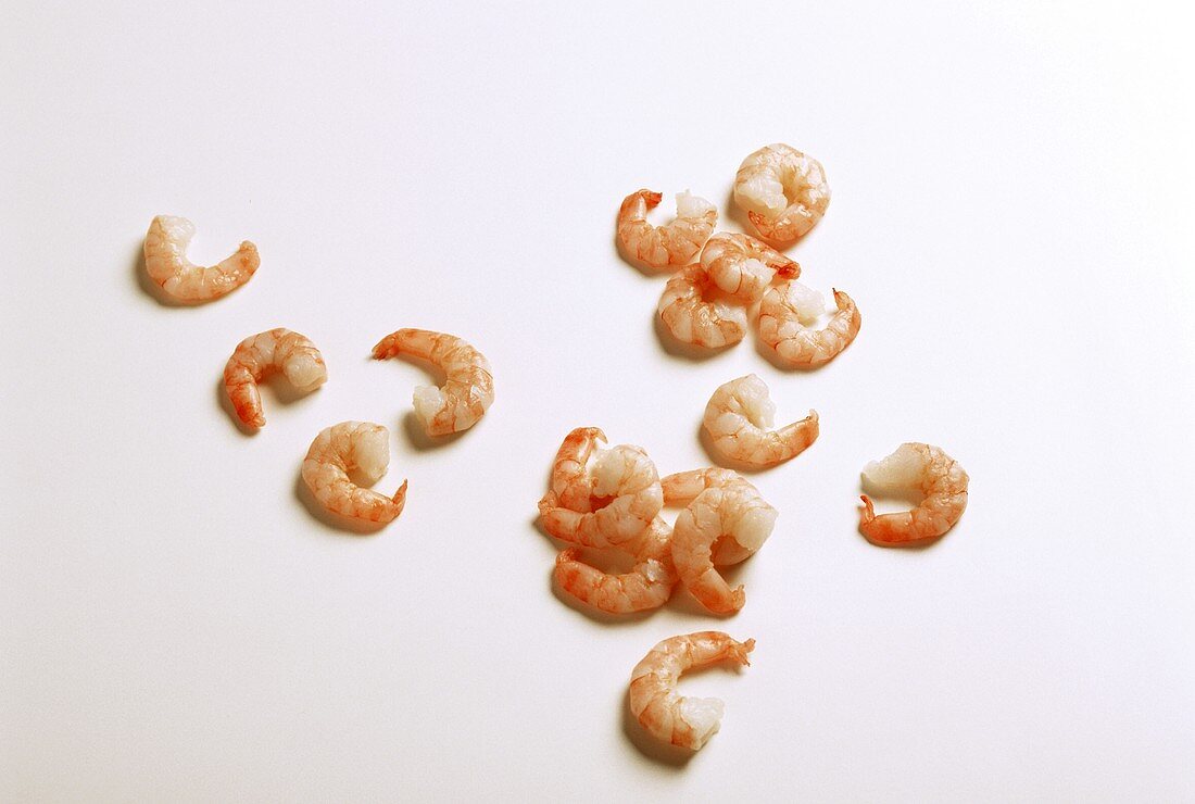 Small shrimps on a white background