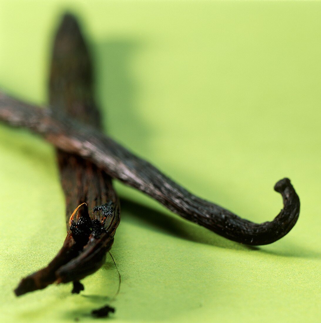 Two vanilla pods