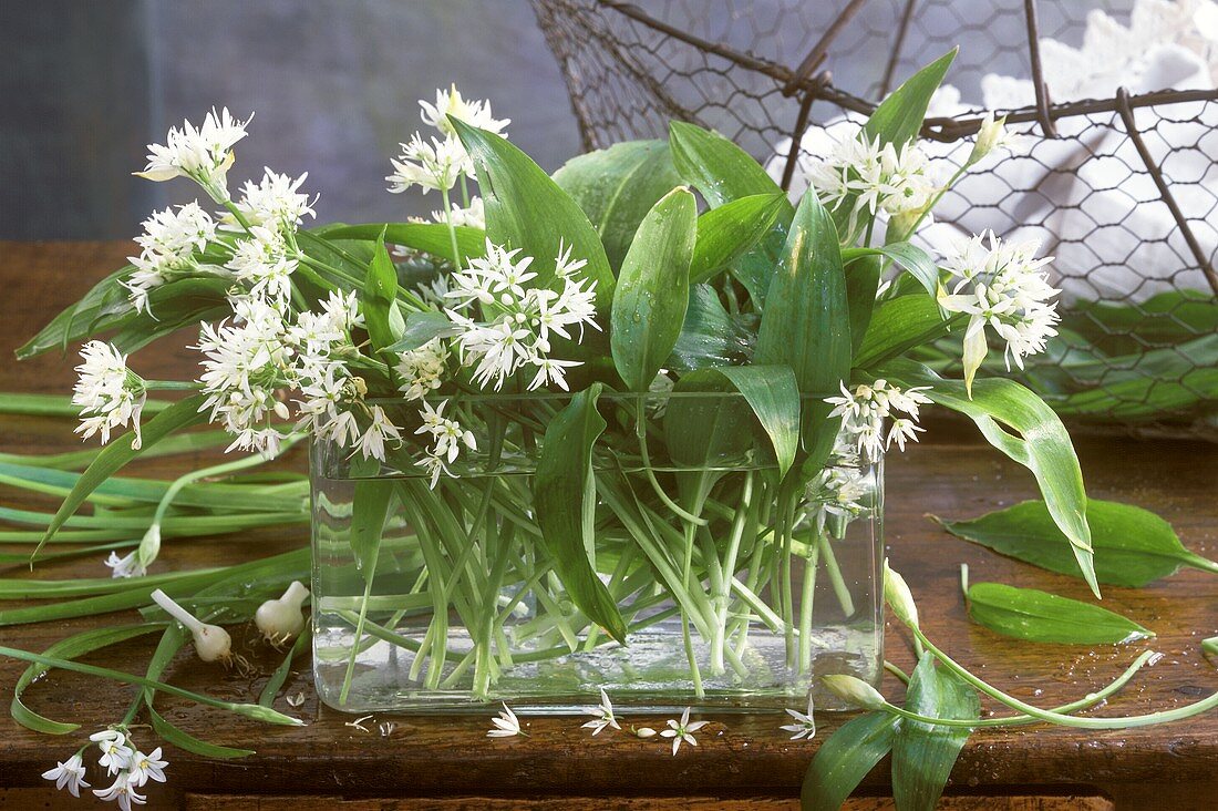 Ramsons with flowers in a glass container with water
