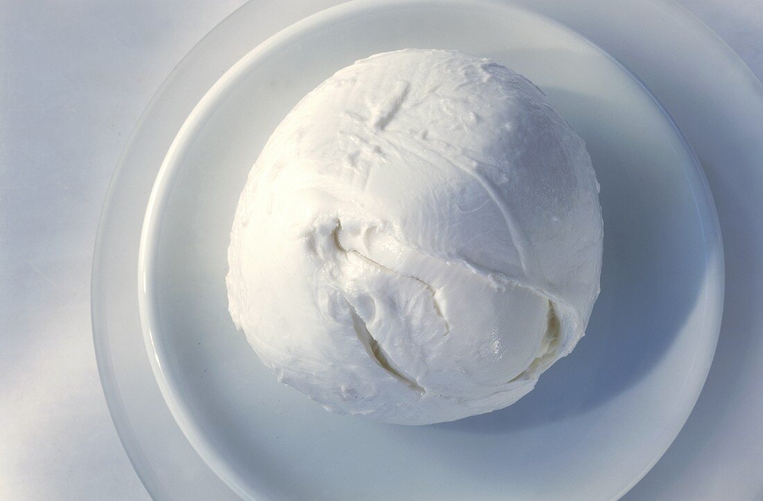 Mozzarella auf weißem Teller