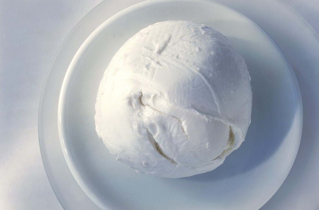 Mozzarella on a white plate