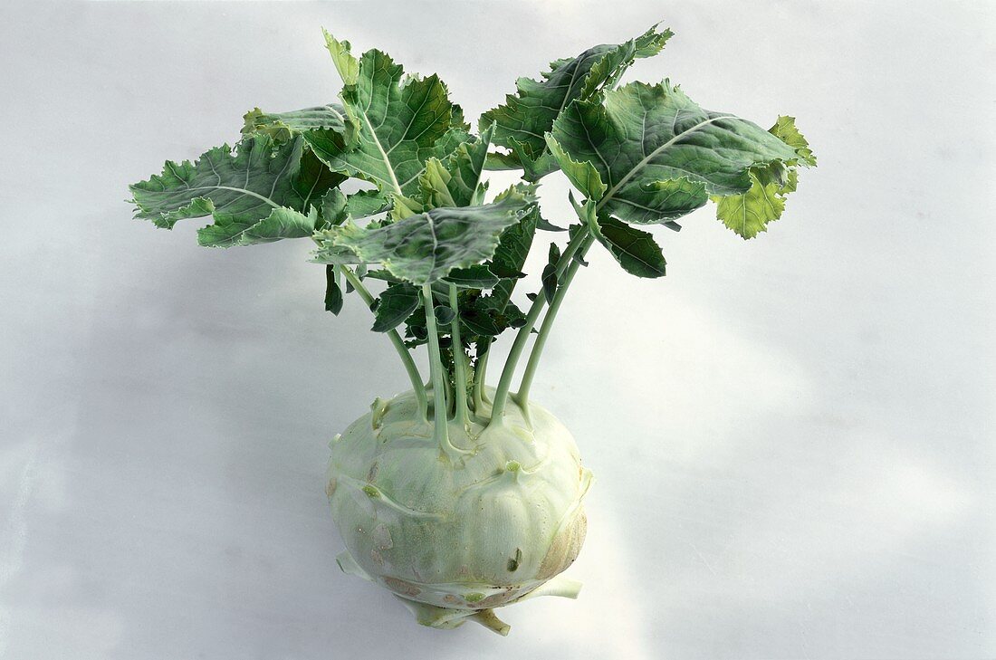 A kohlrabi with leaves