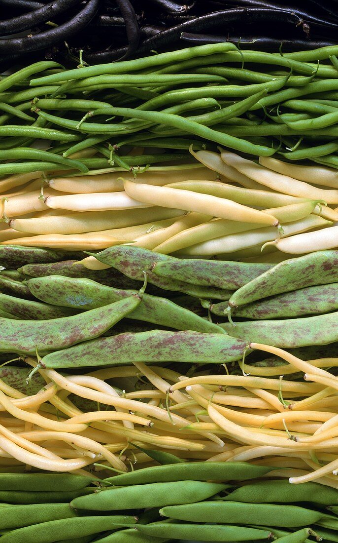 Various varieties of French beans (filling the picture)