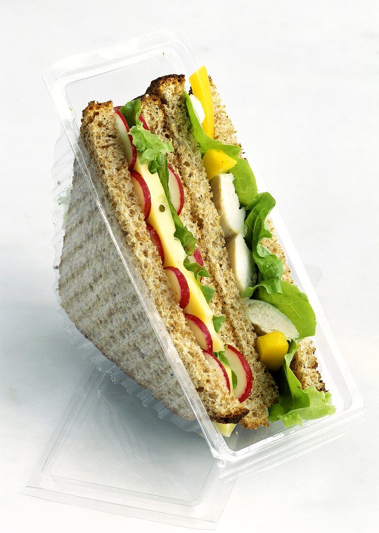 Gesunde Sandwiches in Plastikverpackung