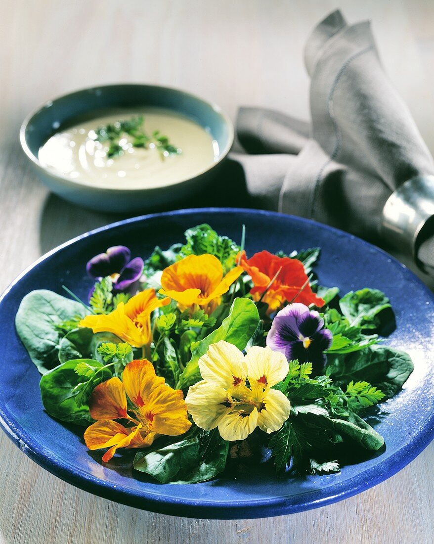 Kräuter-Blumen-Salat auf blauem Teller