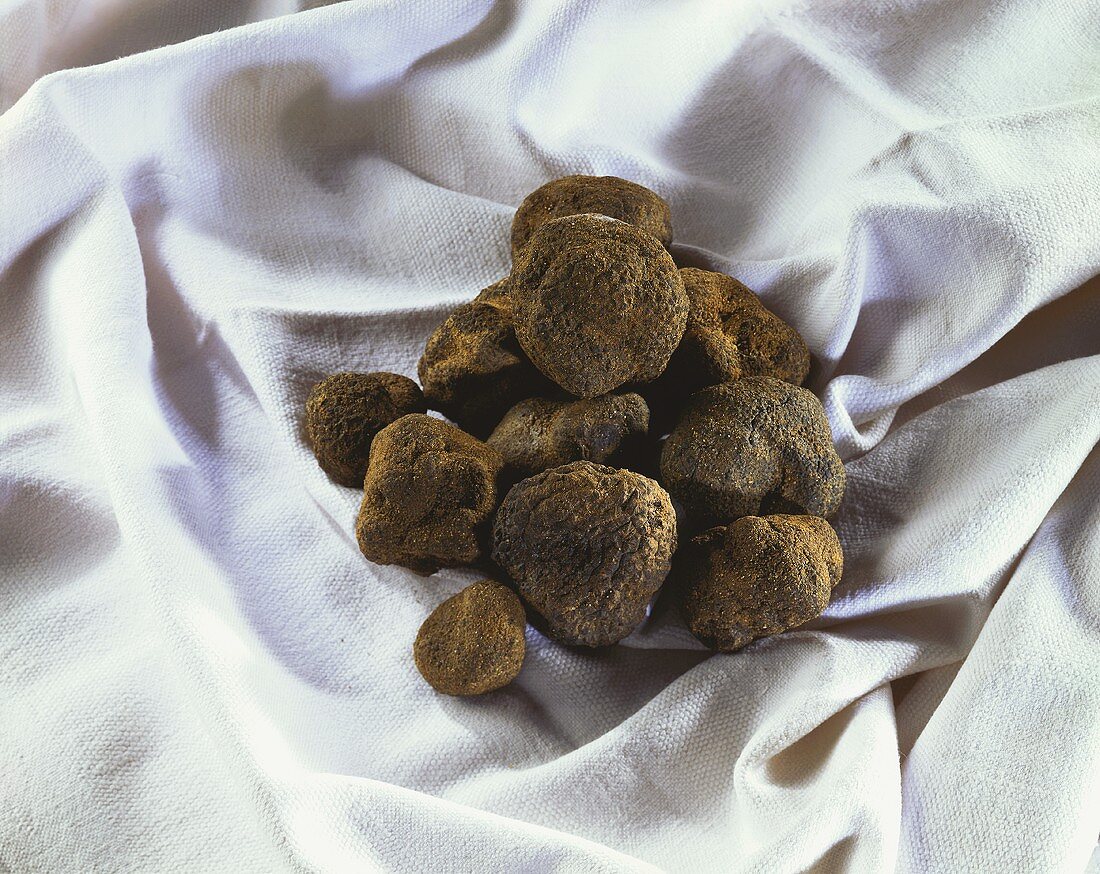 Black truffles on a white cloth