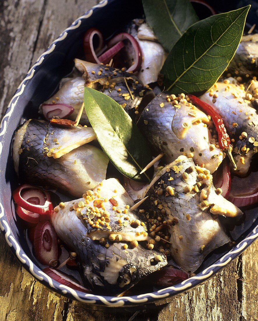Rollmops with onions and spices