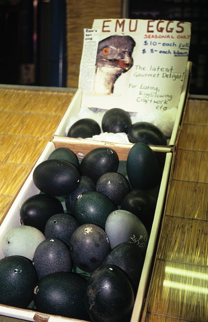 Emu-Eier in einer Steige auf dem Markt