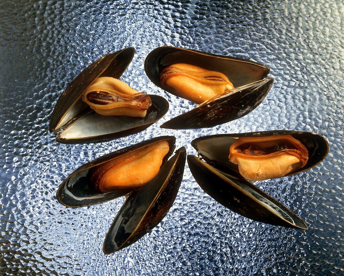 Cooked mussels on a sheet of glass