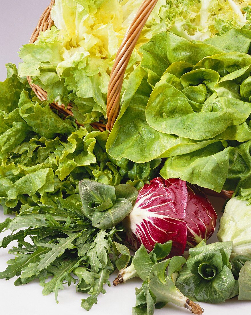 Various fresh lettuces in basket