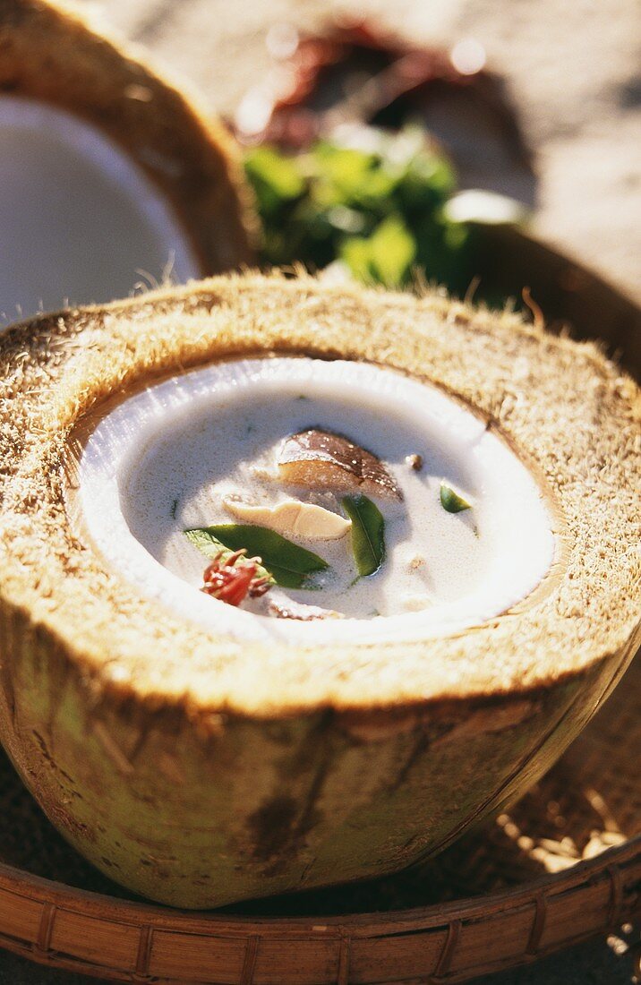 Tom Yang soup: chicken and coconut soup in coconut half