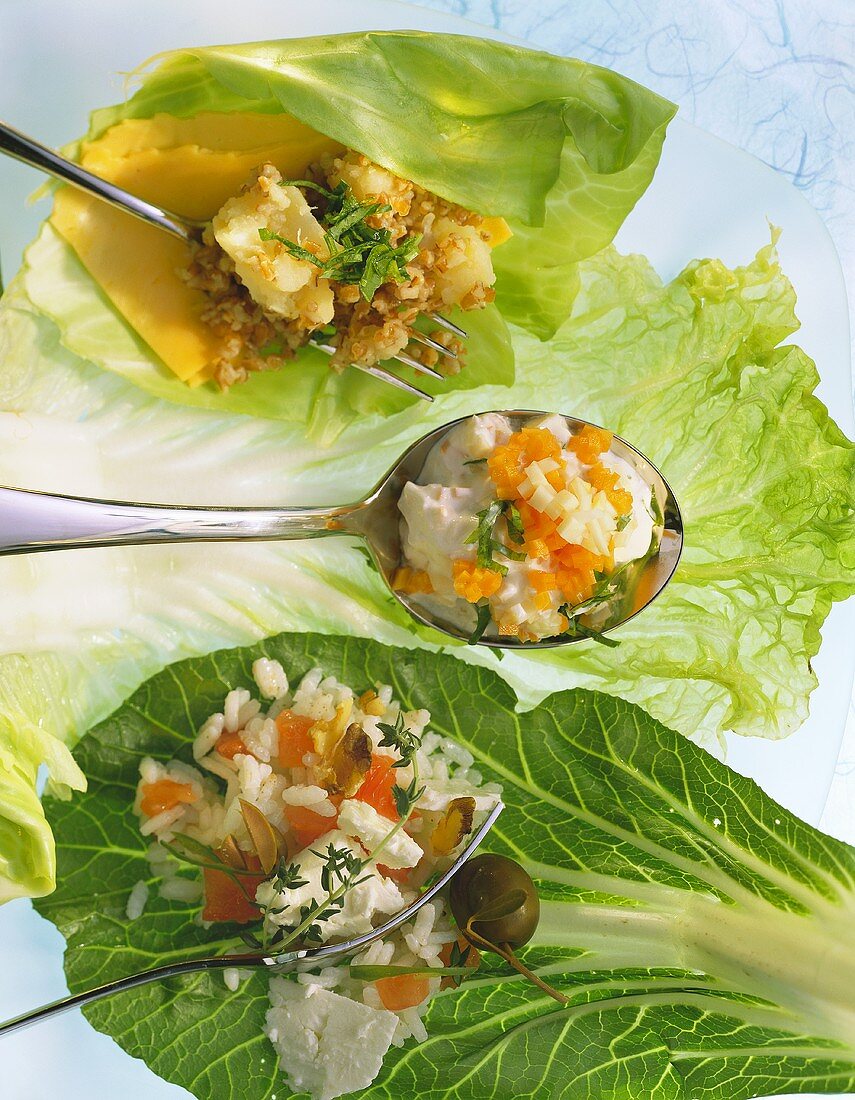 Three fillings for roulades on cabbage leaves, one on spoon