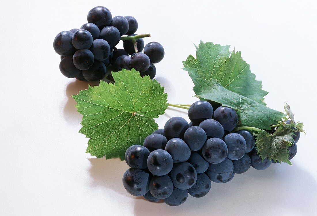 Red grapes with vine leaves on a white background