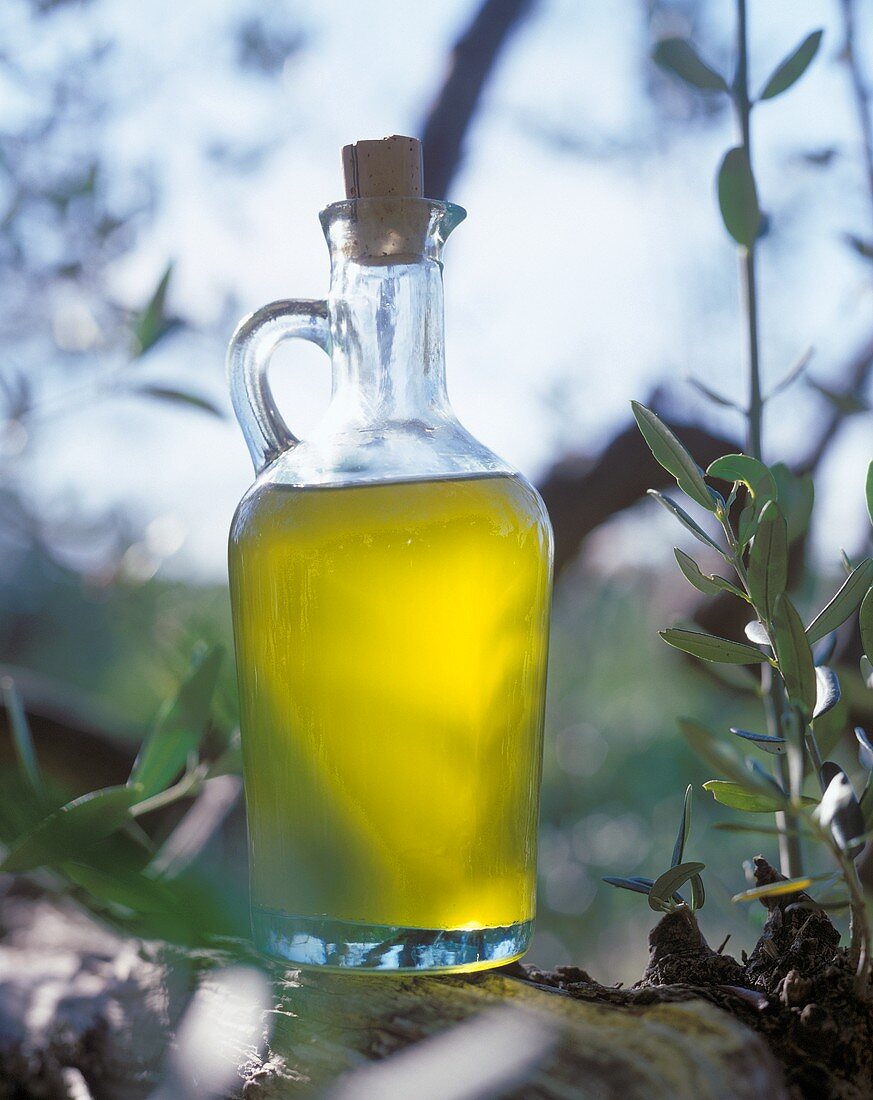 Eine Karaffe Olivenöl auf einem Olivenbaum