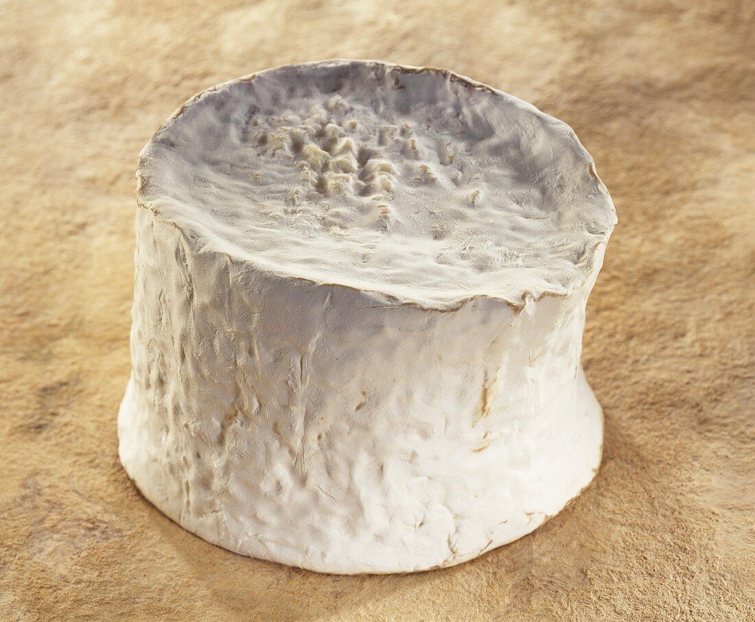 Chaource, a French soft cheese, on brown background