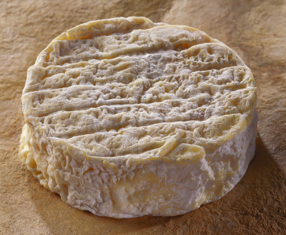 Romans, a French soft cheese, on a brown background