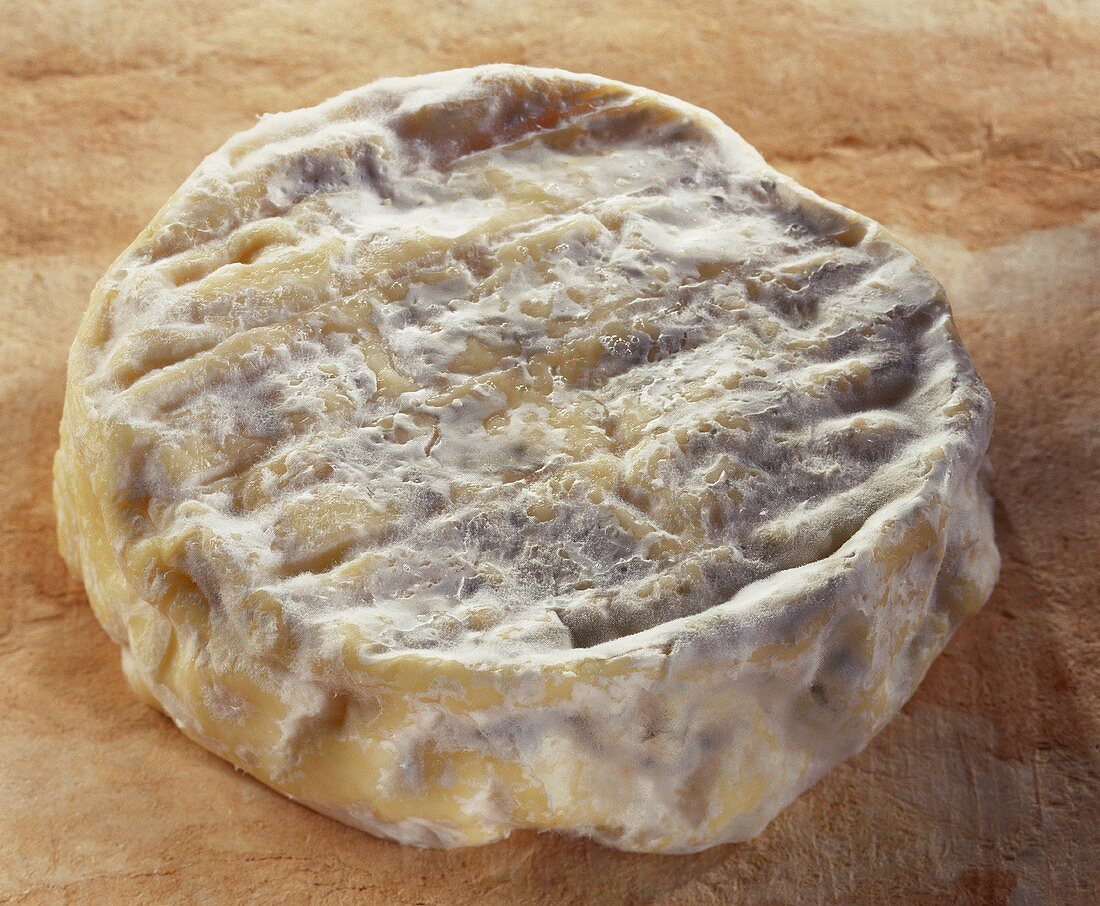 Saint-Felicien, a French soft cheese