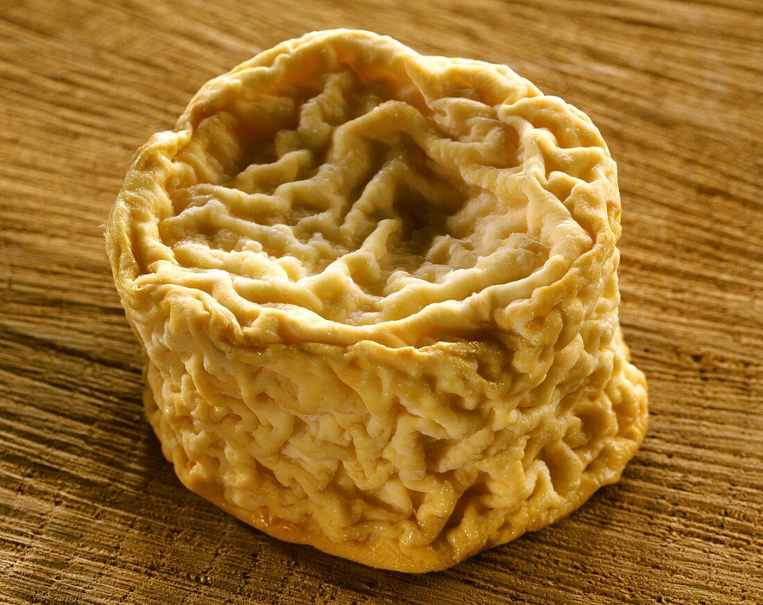 Französischer Käse Langres auf braunem Untergrund