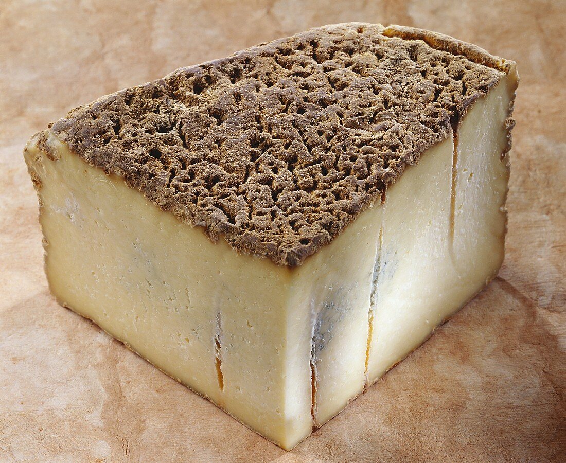 Bleu de Terminion, a French blue cheese