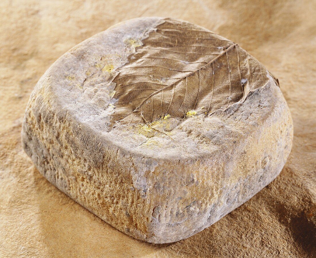 Cabra, a French goat's cheese, on brown background