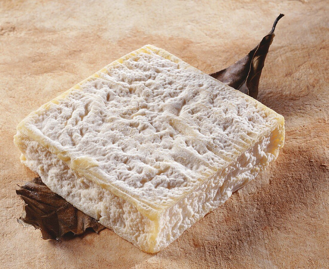 Chevre a la Feuille, a French goat's cheese, on a leaf