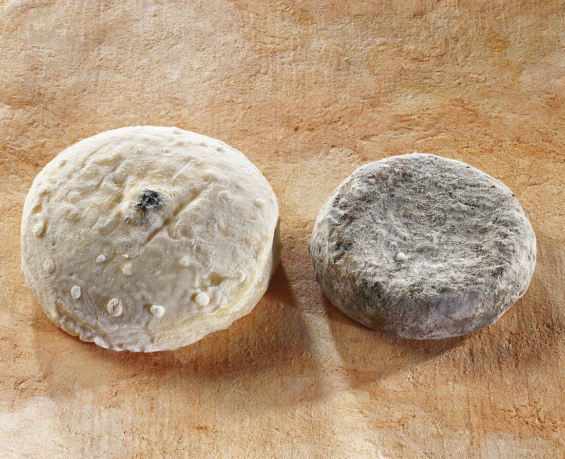 Chevre au poivre and Chevriou, French goat's cheeses